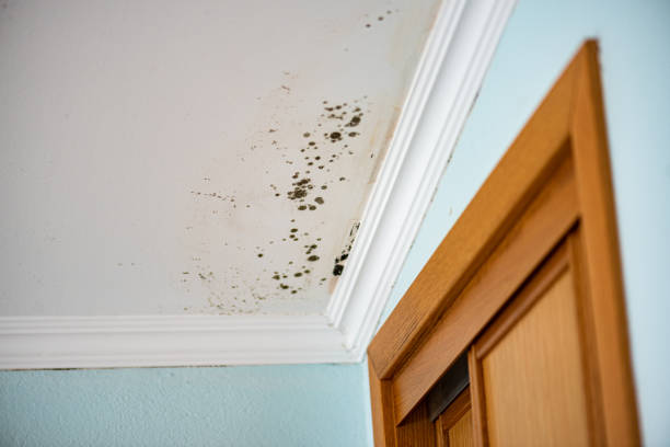 Water Damage Restoration in Georgetown, PA