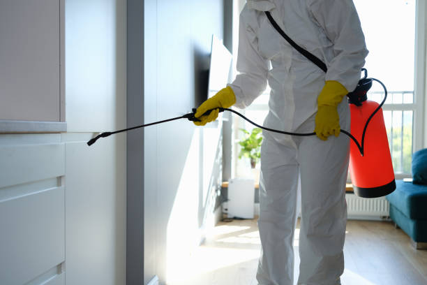 Best Mold Cleaning Services  in Georgetown, PA